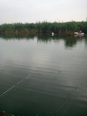 o mica parte din pesti de anul trecut - 1377698742172.jpg